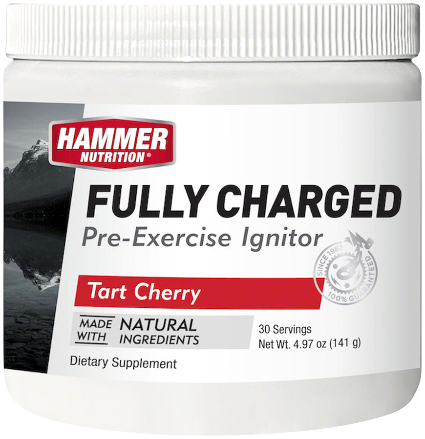 Hammer Nutrition Fully Charged Drink Mix