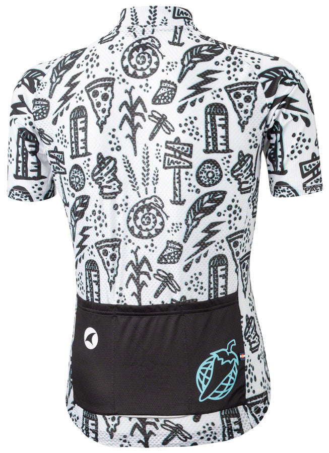 Salsa Men's Team Gravel Story Jersey