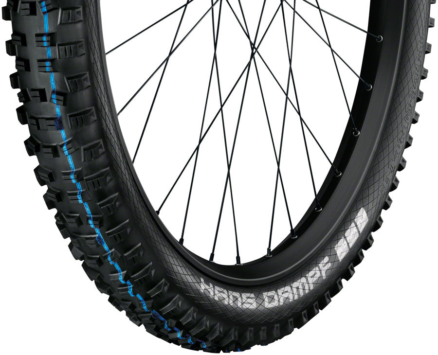 Schwalbe Hans Dampf Tire