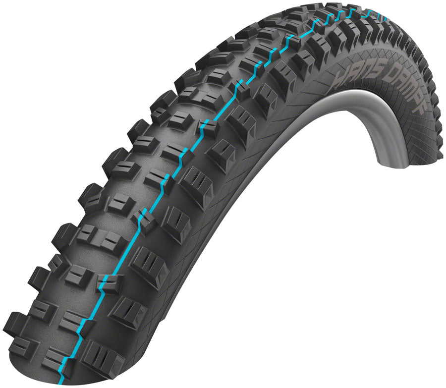 Schwalbe Hans Dampf Tire