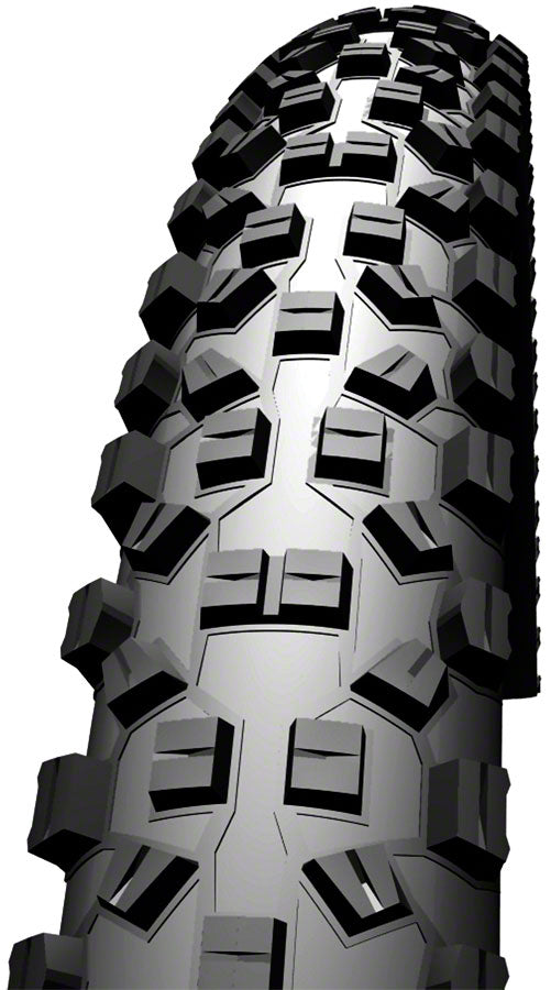 Schwalbe Hans Dampf Tire