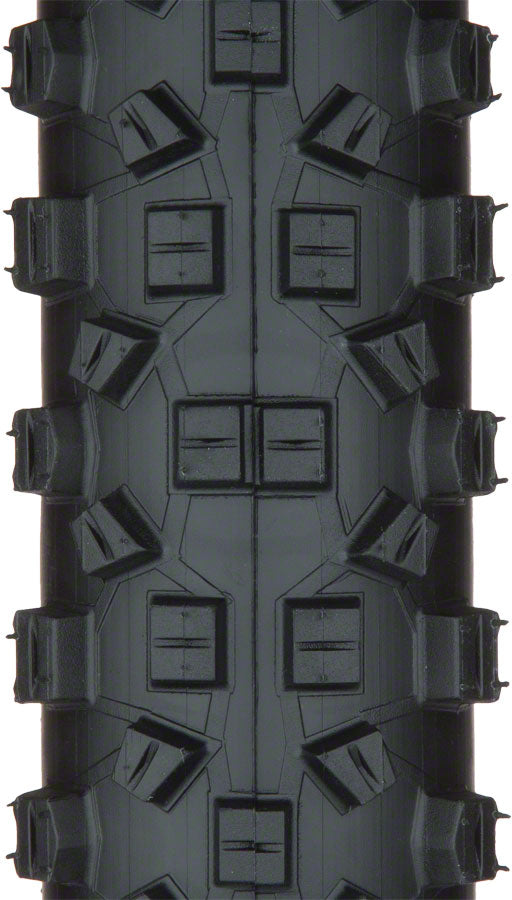 Schwalbe Hans Dampf Tire