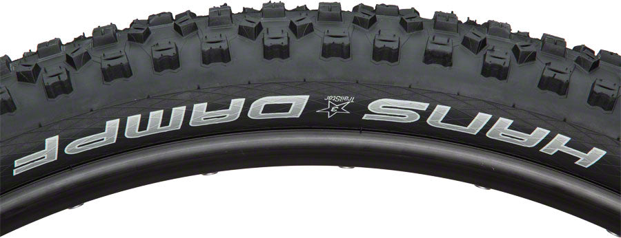 Schwalbe Hans Dampf Tire