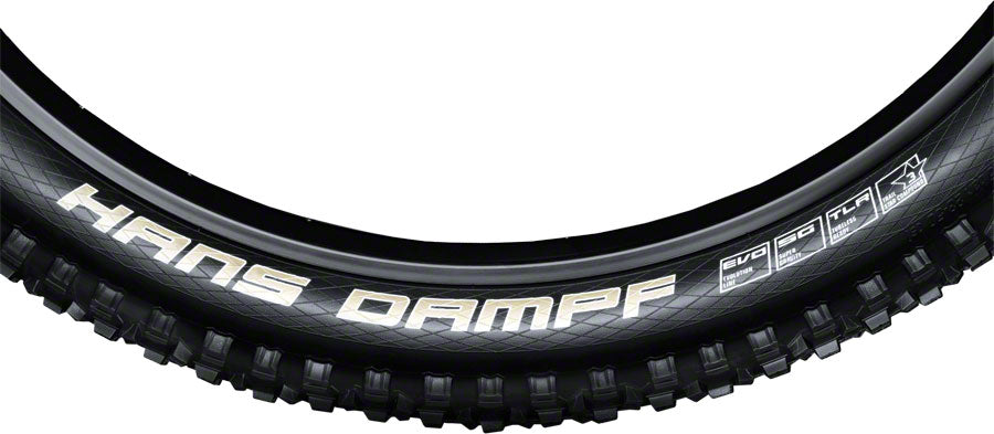 Schwalbe Hans Dampf Tire