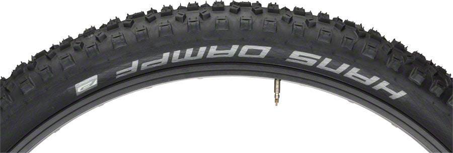 Schwalbe Hans Dampf Tire