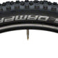 Schwalbe Hans Dampf Tire