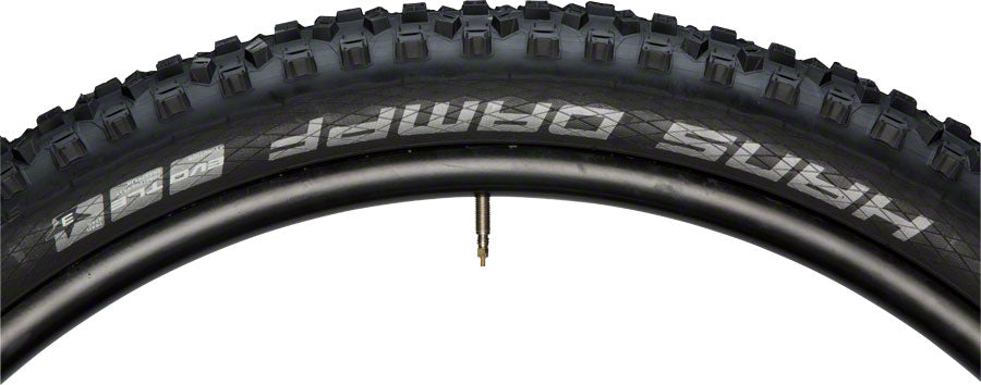 Schwalbe Hans Dampf Tire