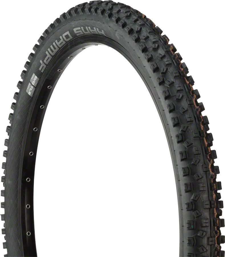 Schwalbe Hans Dampf Tire