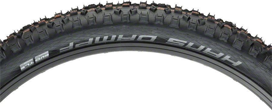 Schwalbe Hans Dampf Tire