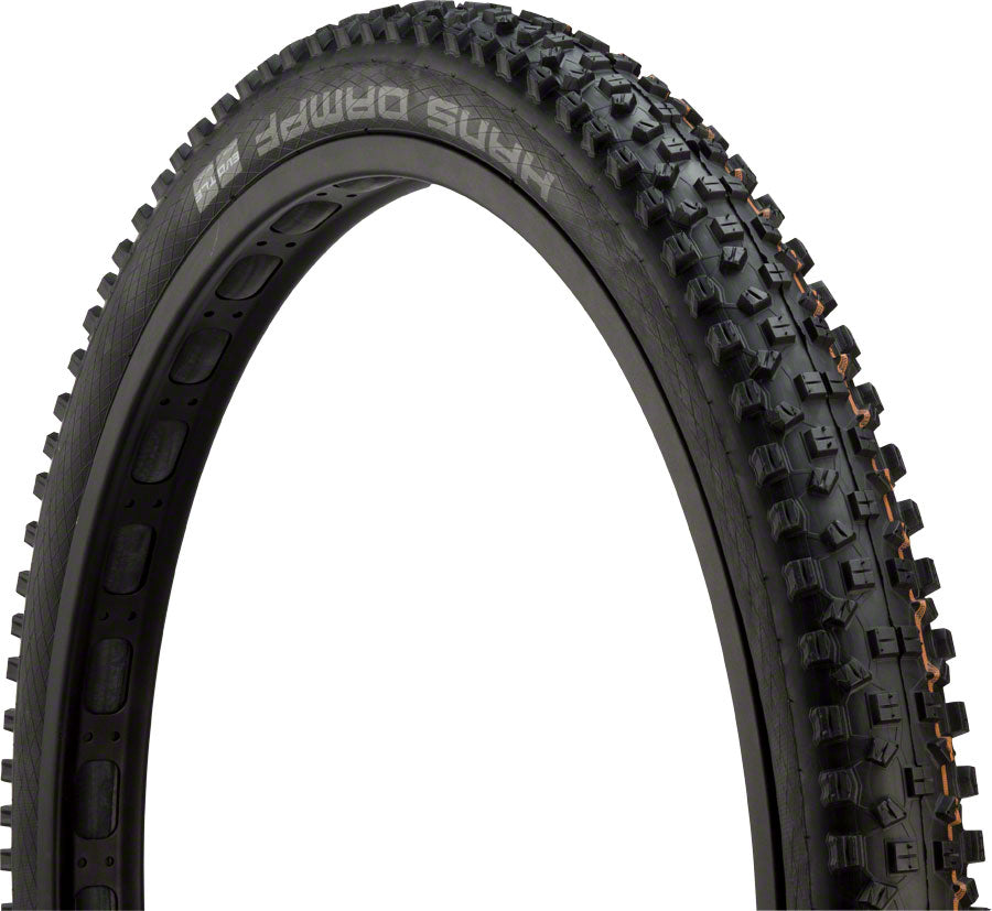 Schwalbe Hans Dampf Tire