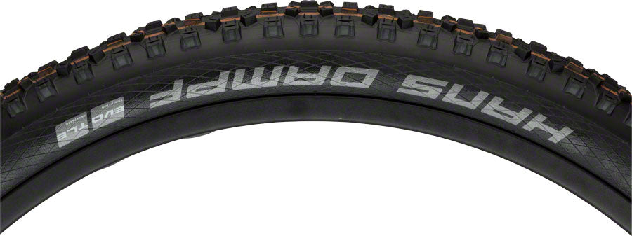 Schwalbe Hans Dampf Tire