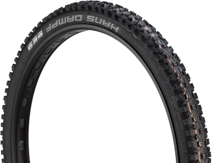 Schwalbe Hans Dampf Tire