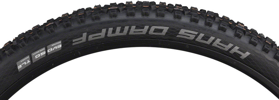 Schwalbe Hans Dampf Tire