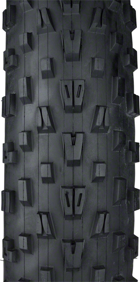 Maxxis Minion FBF Tire