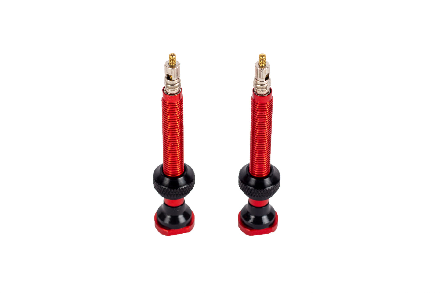 Incycle Tubeless Valve