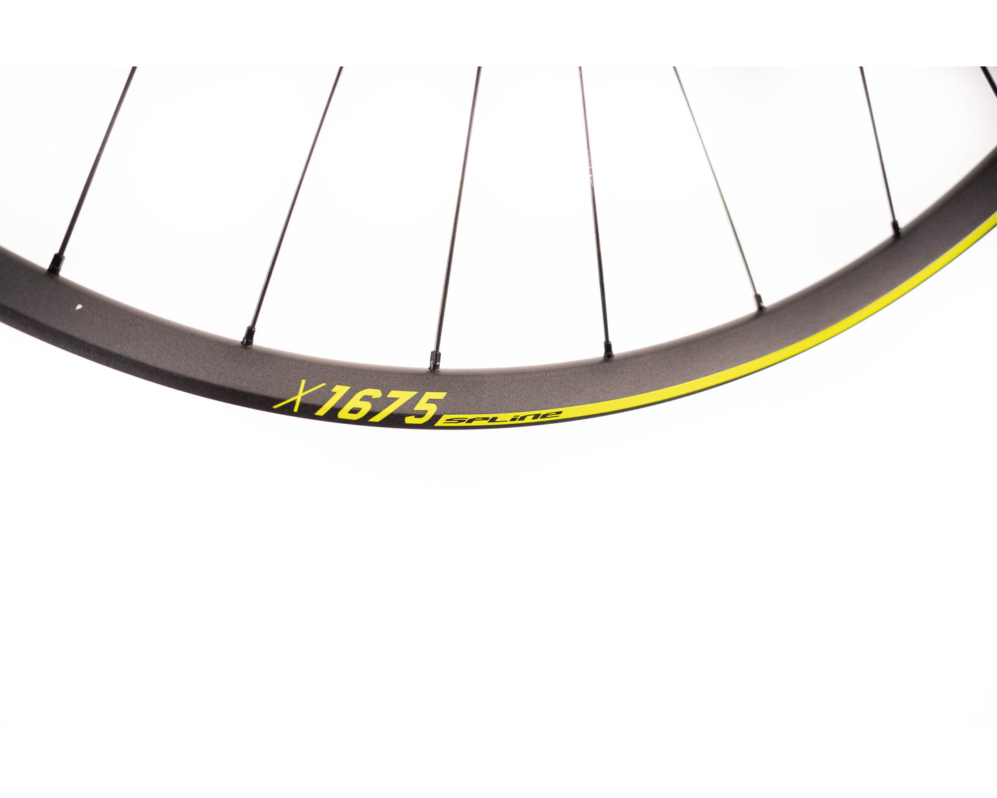 DT Swiss Spline X1675 29" Tubeless Ready