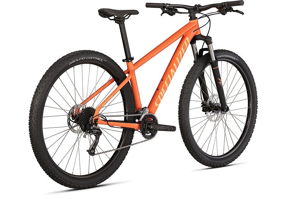 Specialized rockhopper sport 29 deals 2020