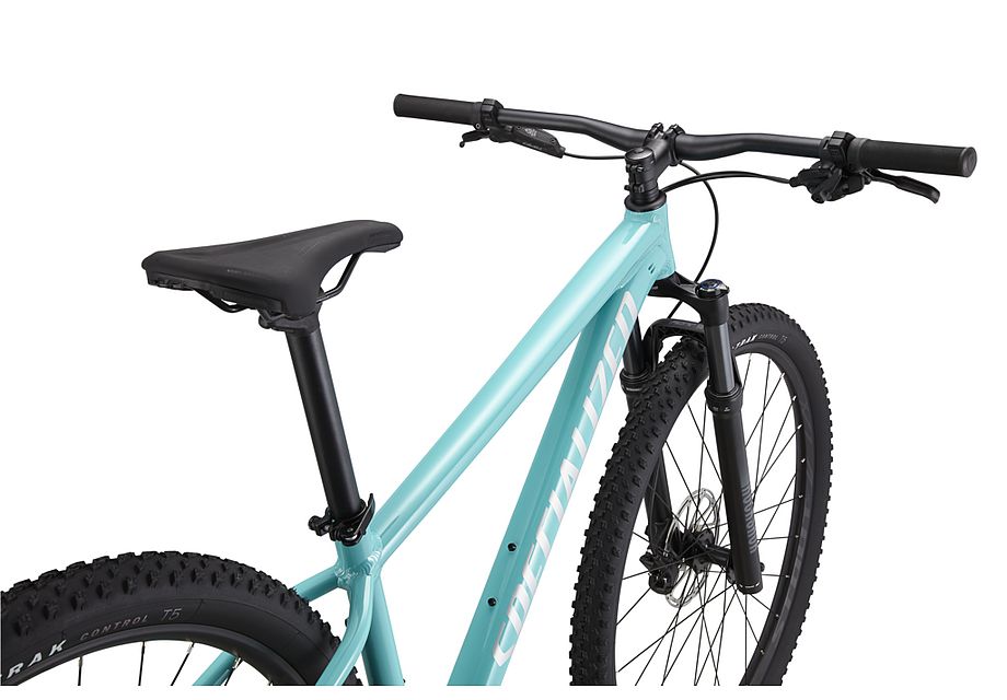 Bicicletas specialized rockhopper discount 29