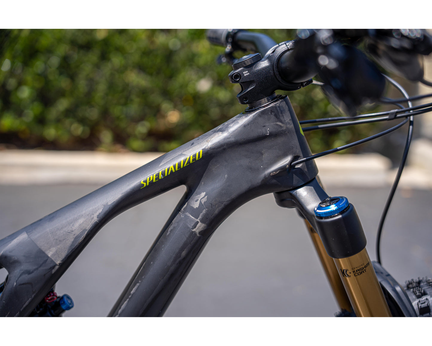 [New Other] Specialized 2022 SJ EVO Expert - Carb/Olvgrn/Blk S2