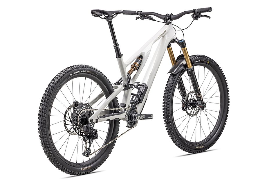 Stumpjumper evo shop for sale