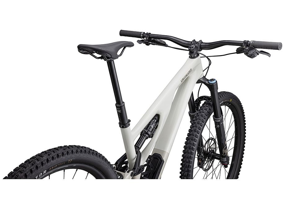 2021 specialized best sale stumpjumper evo expert