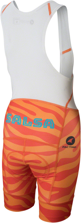 Salsa 2018 Team Kit Bib