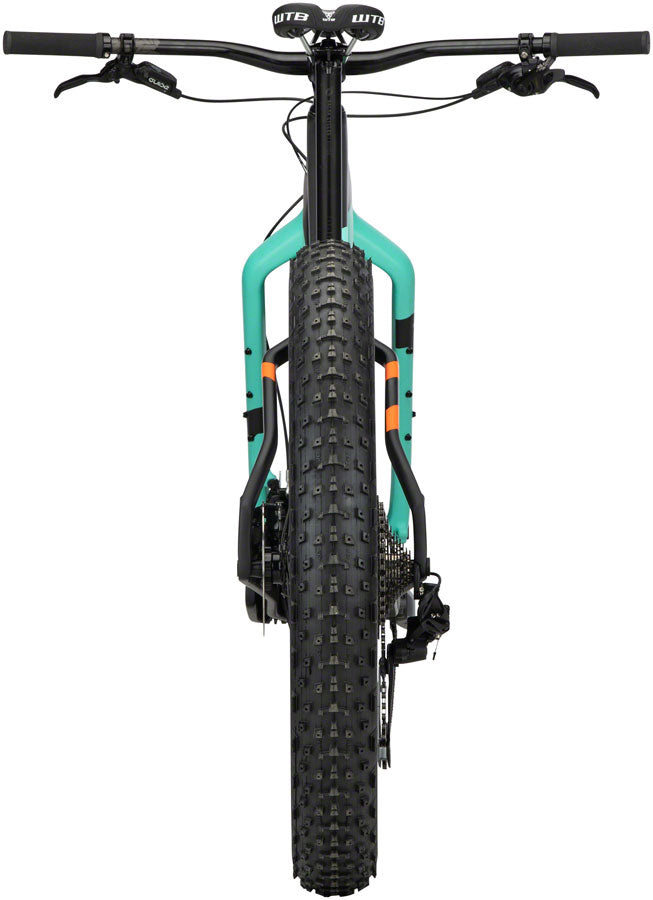 Salsa beargrease carbon best sale gx eagle fat bike