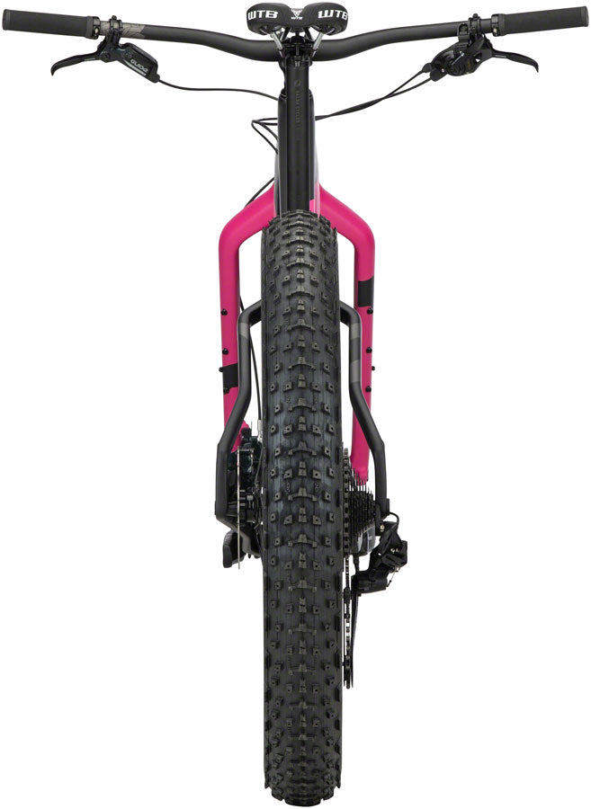 Salsa Beargrease Carbon NX Eagle Fat Bike - Pink