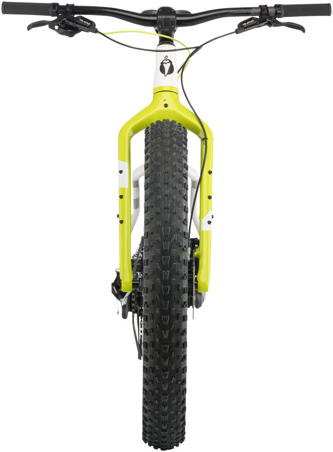 Salsa beargrease carbon discount gx eagle fat bike