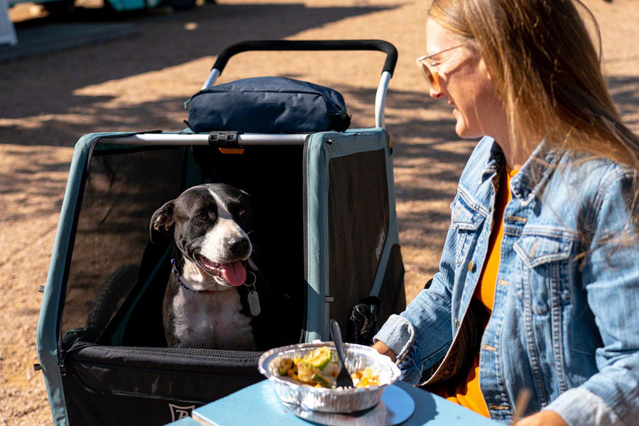 Burley sales dog stroller