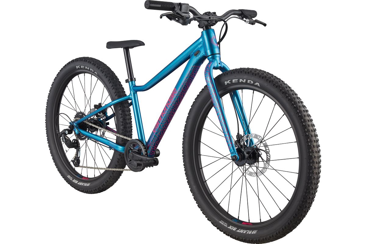 Cannondale Trail Plus 24