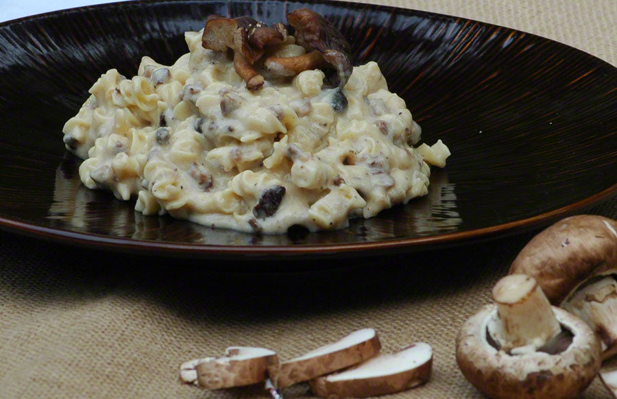 Backpacker's Pantry Beef Stroganoff with Mushrooms