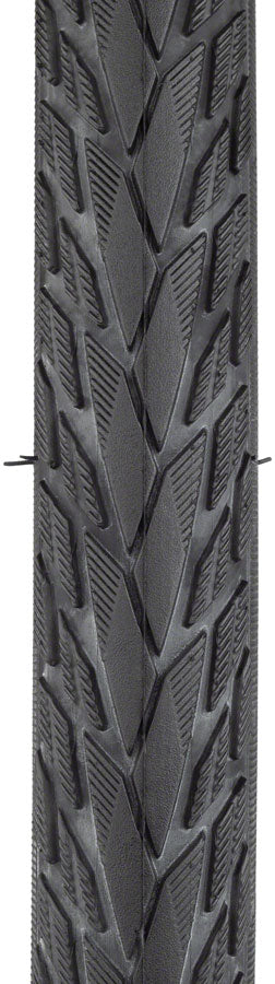 Schwalbe Energizer Plus Tour Tire