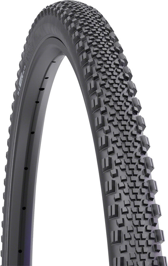 WTB Raddler Tire