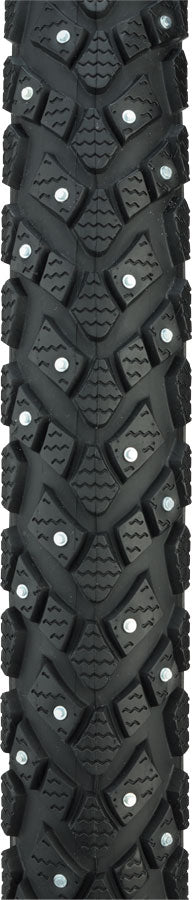 Schwalbe Marathon Winter Plus Tire