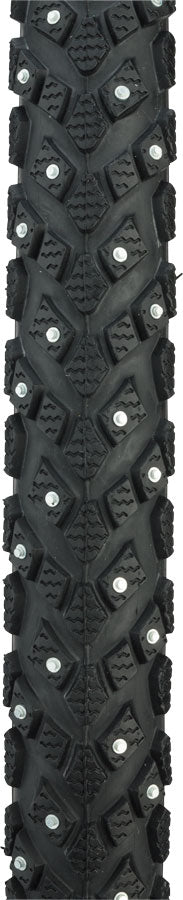 Schwalbe Marathon Winter Plus Tire