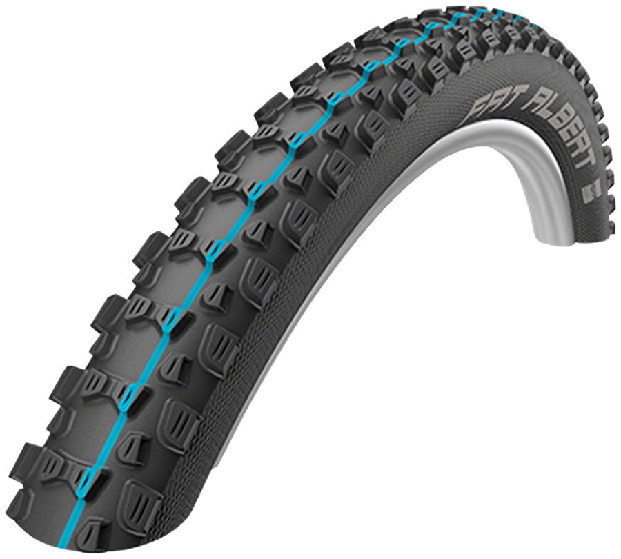 Schwalbe Fat Albert Rear Tire