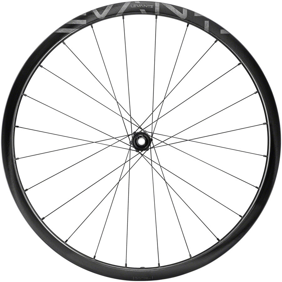 Campagnolo Levante Rear Wheel