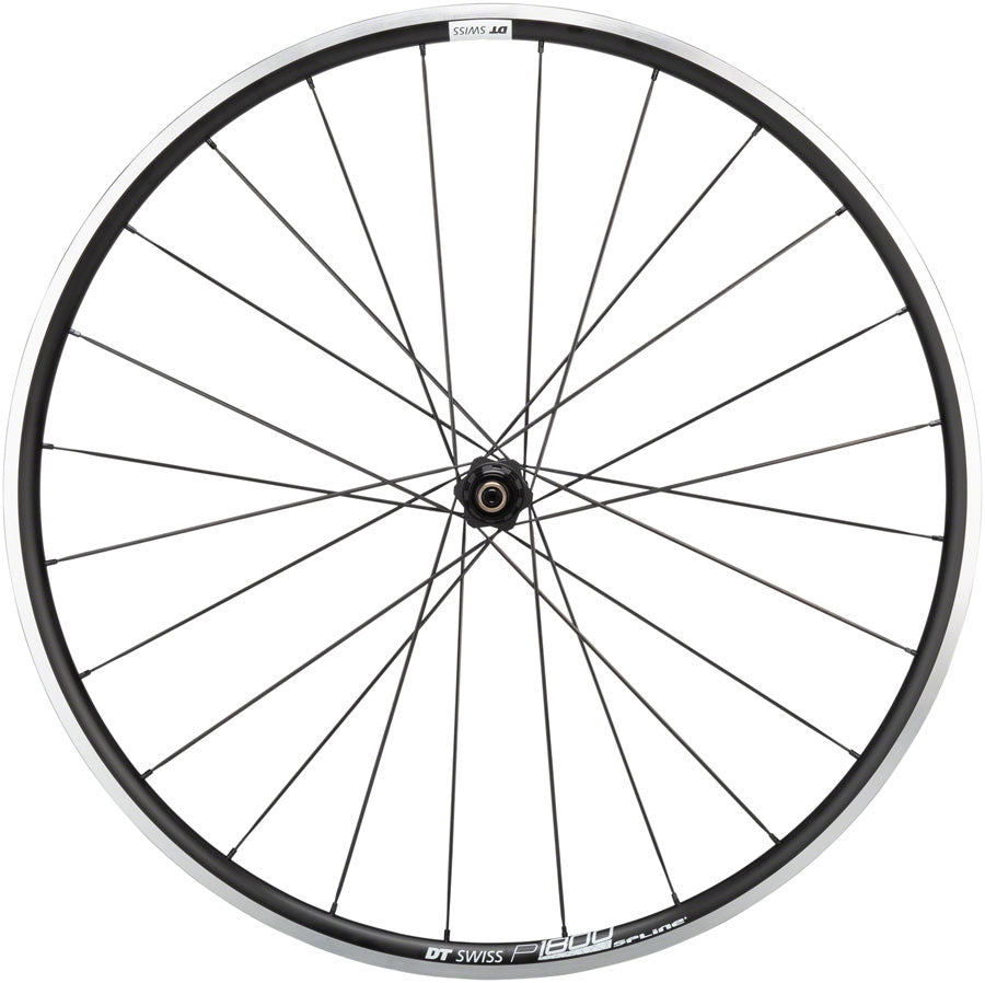 DT Swiss P1800 Spline Front Wheel – Incycle Bicycles