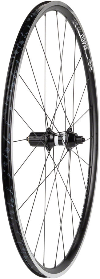 Quality Wheels DT 350/DT R460 Rear Wheel