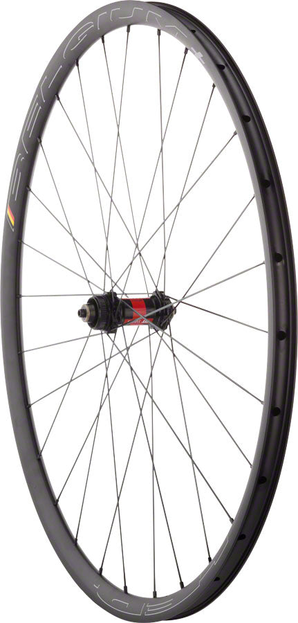 Quality Wheels DT 240 / Belgium+ Front Wheel