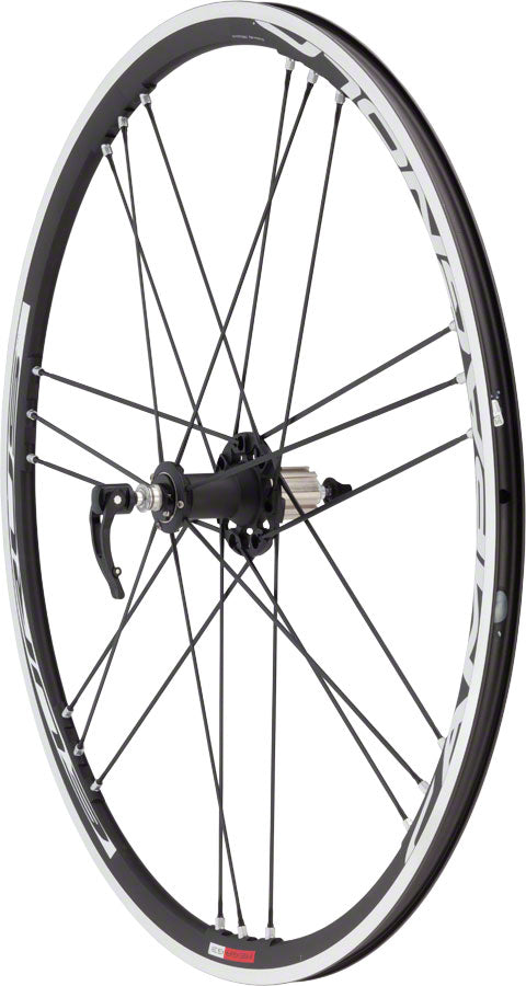 Campagnolo Eurus Wheelset