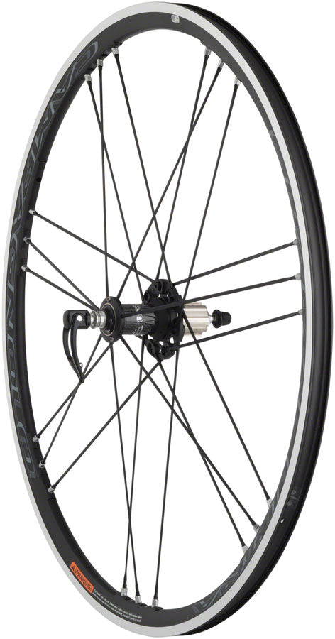 Campagnolo Shamal  Wheelset